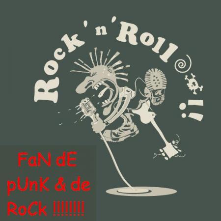 Histoire Du Punk Rock